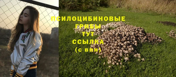 ешки Алексеевка
