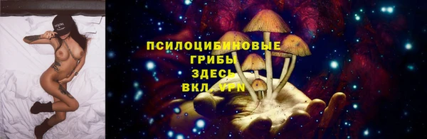 сатива Алзамай