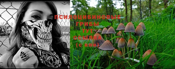 соль курить ск Алексин