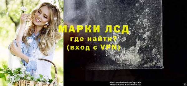 сатива Алзамай