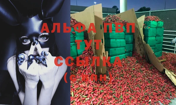 сатива Алзамай