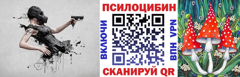 купить  сайты  Железногорск-Илимский  Псилоцибиновые грибы ЛСД 